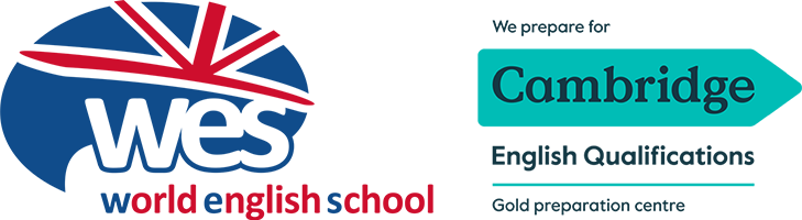 World English School Logo
